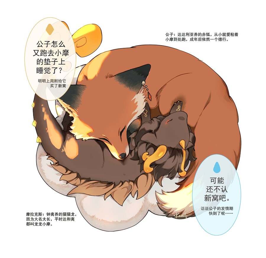 龙龙狐狸睡觉觉1